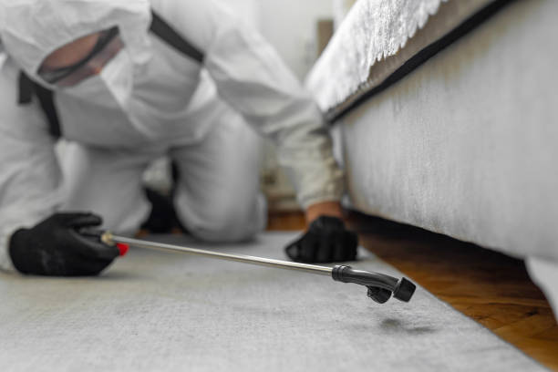 Professional Bed Bug Control technician working in Gowanda, NY